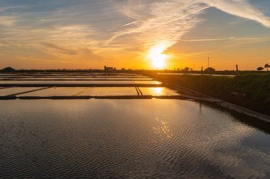 Gün batımında Aveiro 'nun tuzlu düzlükleri. Portekiz, Aveiro 'nun tuzlu düzlüklerinde gün batımı manzarası