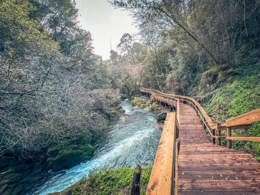 Dalgalı bir nehir boyunca uzanan ahşap yürüyüş yolu Pindelo, Outeiro, Oliveira de Azemeis, Portekiz 'de sakin ve pitoresk bir doğa yolu oluşturuyor.