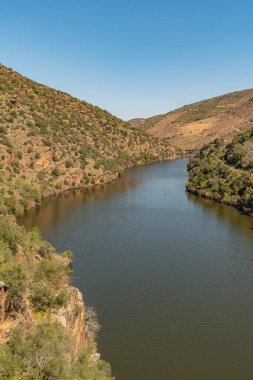 Douro Valley ve nehir Portekiz Pinhao Köyü yakınındaki teraslı üzüm bağları görünümünü. Kavram Portekiz seyahat ve Portekiz en güzel yerleri.