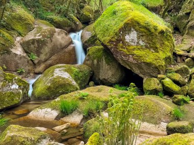 Barrias Şelalesi Yosunlu Kayalar. Yosun kaplı kayaların üzerine dökülen ipeksi su Jugueiros, Felgueiras, Portekiz 'de yemyeşil bir çevrede küçük bir şelale oluşturarak doğal güzellikleri gözler önüne seriyor.