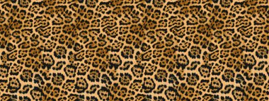 Kusursuz leopar deseni, leopar kürkü.