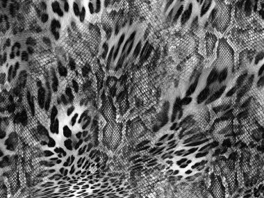 Yılan ve leopar dokusu arkaplanı