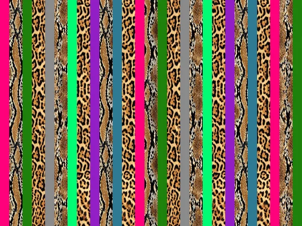 Colorful lines with animal texture, leopard skin, snake skin.