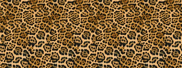 Textura Leopardo Sem Costura Pele Leopardo — Fotografia de Stock