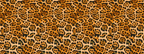 Naadloze Luipaard Textuur Luipaard Bont — Stockfoto