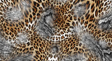 Leopar derisi deseni, leopar kürkü, hayvan deseni..