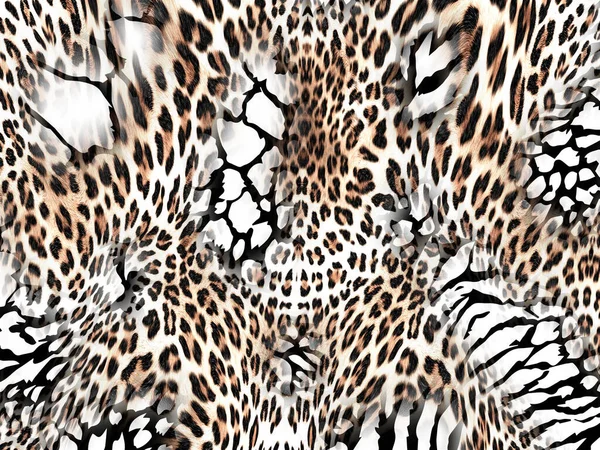 Σχηματισμός Δέρματος Λεοπάρδαλης Γούνα Λεοπάρδαλης Μοτίβο Ζώου — Φωτογραφία Αρχείου