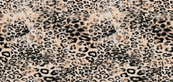 Σχηματισμός Δέρματος Λεοπάρδαλης Γούνα Λεοπάρδαλης Μοτίβο Ζώου — Φωτογραφία Αρχείου