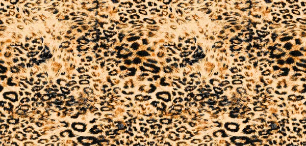 ヒョウの皮膚パターン ヒョウの毛皮 動物のパターン — ストック写真