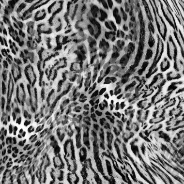 Leopar ve kaplan dokusu, siyah ve beyaz hayvan deseni..