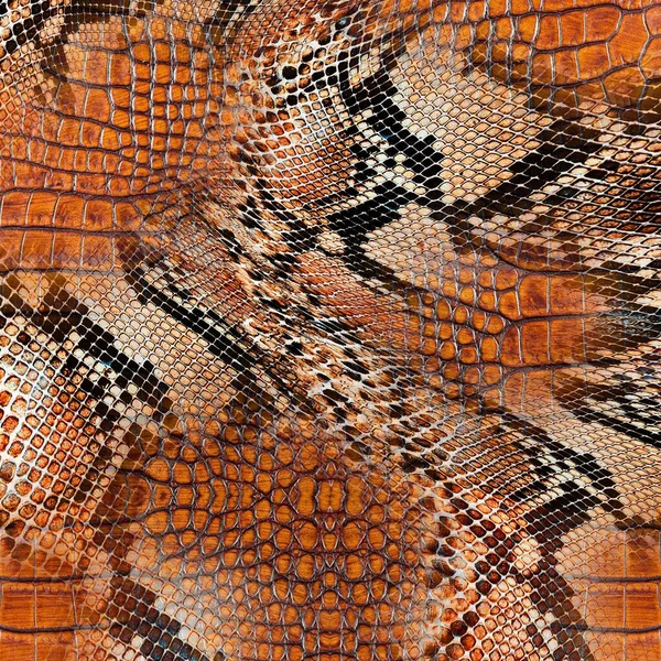 Seamless snake pattern, snake skin, python texture.