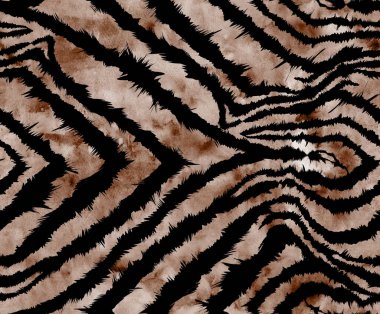 Seamless zebra texture, illustration hand draw zebra, tiger pattern.