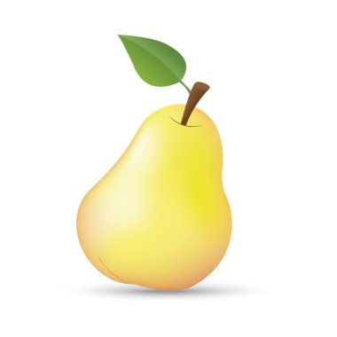 Beyaz arka planda olgun bir armut. Vektör illüstrasyonu
