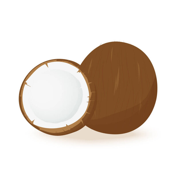 Coconut cut in half on a white background. Vector illustration.