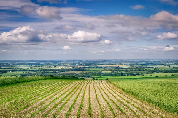 View Lincolnshire Looking West Wolds Normanby Wold — Stock Photo, Image