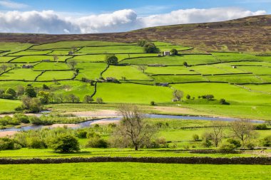 Parlak bir bahar gününde, Swaledale, Kuzey Yorkshire, İngiltere 'de güzel yeşillikleri olan kuru taş duvarlar ve taş kulübeler.