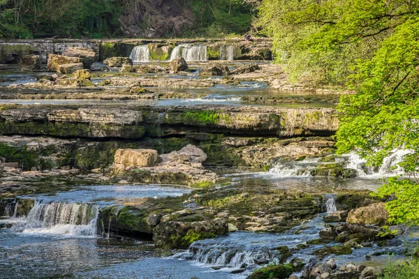 Upper Force Highest Part Aysgarth Falls River Ure Wnsleydale North Royalty Free Stock Images