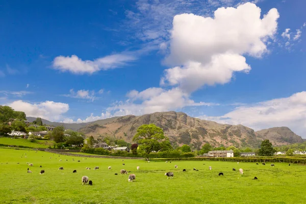 英国カンブリア州コンスティオンの村は 湖地区の下の設定では 前景に羊や牧草地で落ちます ストック画像