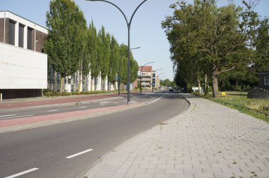 Sokağın kaldırımından ağaçlar ve çalılar görünüyor.