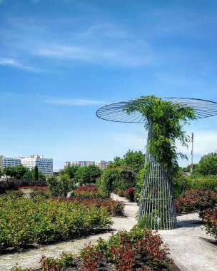 Parkın güzel manzarası