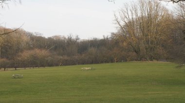 kırsal alanın manzarası, seçici odak
