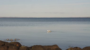Deniz kıyısının güzel manzarası