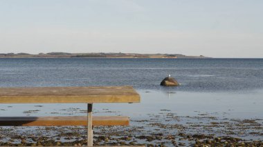 Deniz kıyısının güzel manzarası