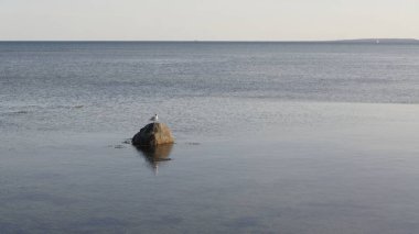 Deniz kıyısının güzel manzarası