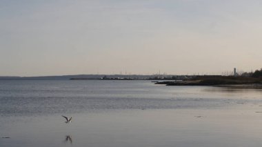 Deniz kıyısının güzel manzarası