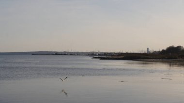 Deniz kıyısının güzel manzarası