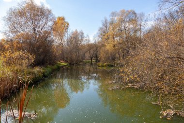 Ternivka, Ukrayna - 22 Ekim 2022: Ternivka köyündeki Hnylyi Tashlyk Nehri
