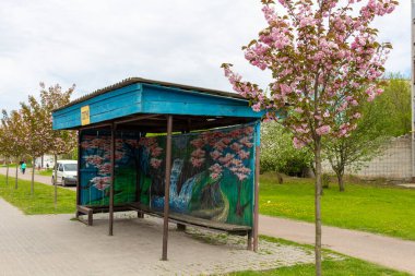 Kamyanka, Ukrayna - 10 Mayıs 2023: Kamyanka şehrinde Sakura sokağı 