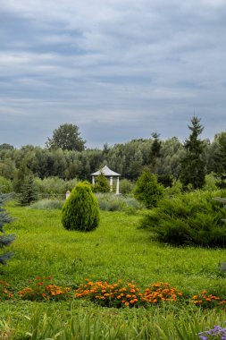 Çam ağaçları, çiçek tarlaları ve dramatik bulutlu gökyüzünün altında yeşil çayır, huzurlu doğal manzara.