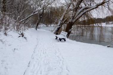Karla kaplı bir bank, donmuş bir nehrin kenarındaki karlı bir yolun kenarında, çıplak ağaçlarla çevrili, sakin ve sakin bir kış manzarası yaratıyor..