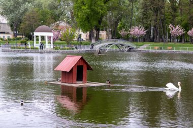 Kremenchuk, Ukrayna - 21 Nisan 20124: Central City Garden 'da beyaz kubbe 