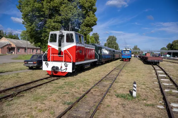 stock image Haivoron, Ukraine - May 18, 2024: Narrow gauge locomotive TU7A - 3108 with a passenger train on the Haivoron railway station