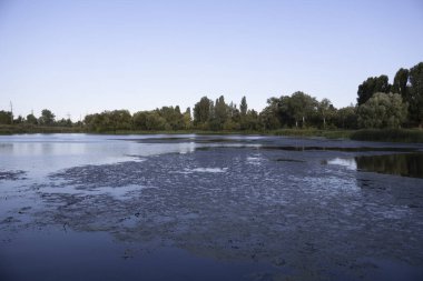 Kaniv, Ukraine - September 1, 2024: Lake in the Kaniv city park 