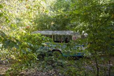 Terk edilmiş, duvar yazısıyla kaplı bir otobüs, etrafı kırık camlar ve yapraklarla çevrili bir ormanda duruyor, rahatsız edici ama sakin bir manzara yaratıyor..