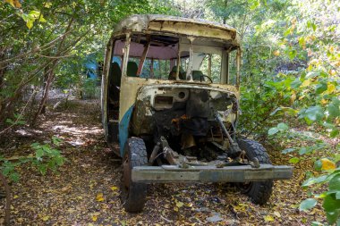 Terk edilmiş, duvar yazısıyla kaplı bir otobüs, etrafı kırık camlar ve yapraklarla çevrili bir ormanda duruyor, rahatsız edici ama sakin bir manzara yaratıyor..