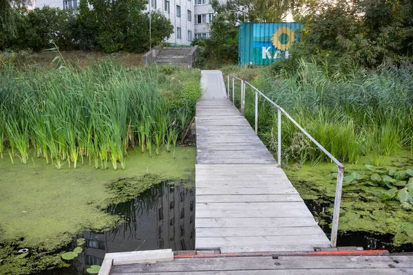 Kaniv, Ukrayna - 1 Eylül 2024: Kaniv şehir parkında göl 