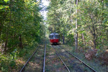 Tramvayın geçtiği sonbahar ormanı, Kyiv ve raylar yakın mesafede.