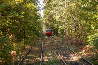 Tramvayın geçtiği sonbahar ormanı, Kyiv ve raylar yakın mesafede.