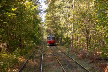 Tramvayın geçtiği sonbahar ormanı, Kyiv ve raylar yakın mesafede.
