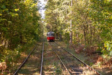 Tramvayın geçtiği sonbahar ormanı, Kyiv ve raylar yakın mesafede.