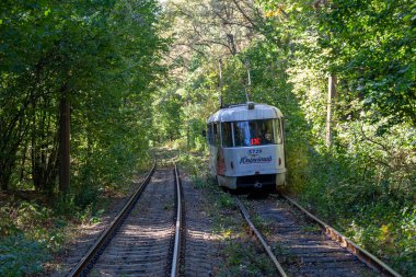 Tramvayın geçtiği sonbahar ormanı, Kyiv ve raylar yakın mesafede.