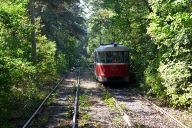 Tramvayın geçtiği sonbahar ormanı, Kyiv ve raylar yakın mesafede.
