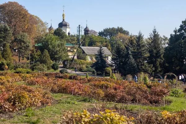 Kyiv, Ukrayna - 20 Ekim 2024: Kyiv botanik bahçesi güneşli sonbahar gününde