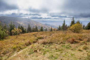 Sonbahar panoraması Beskyd, Karpatya dağları tamamen ormanla kaplıdır. Skole Beskydy Ulusal Parkı 'nın Panoraması