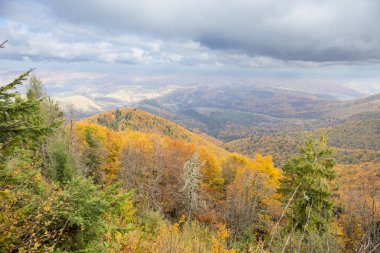 Sonbahar panoraması Beskyd, Karpatya dağları tamamen ormanla kaplıdır. Skole Beskydy Ulusal Parkı 'nın Panoraması