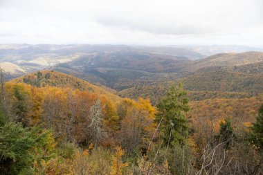 Sonbahar panoraması Beskyd, Karpatya dağları tamamen ormanla kaplıdır. Skole Beskydy Ulusal Parkı 'nın Panoraması